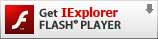 Install InternetExplorer Flash Player